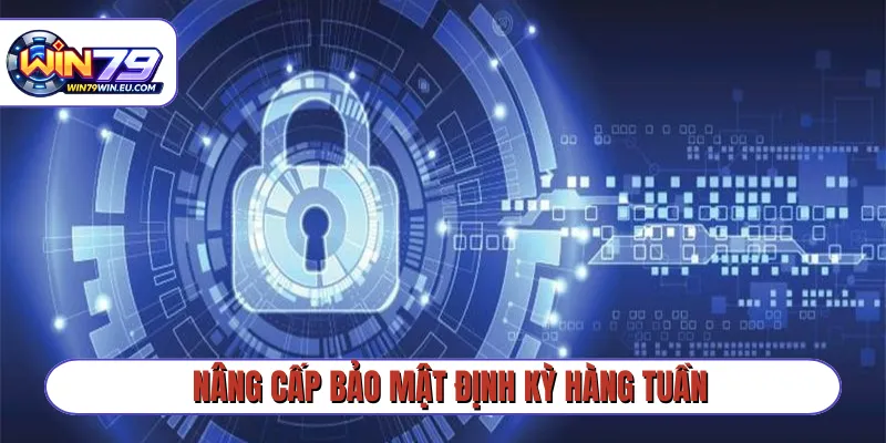 Nâng cấp bảo mật định kỳ hàng tuần