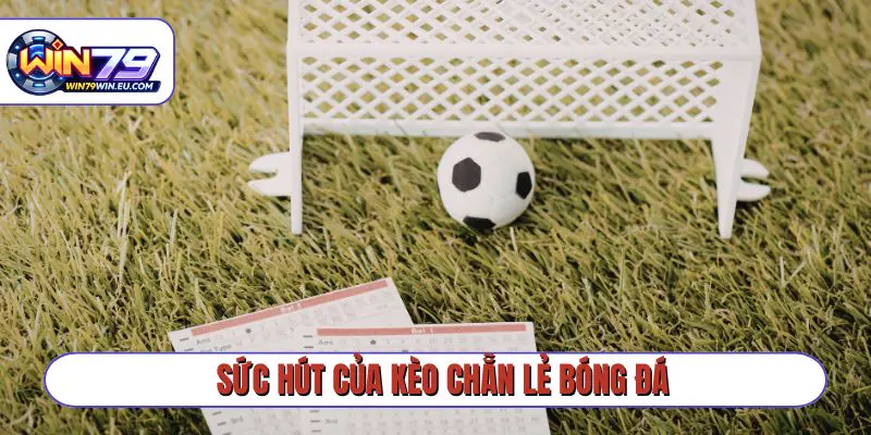 Sức hút của kèo chẵn lẻ bóng đá